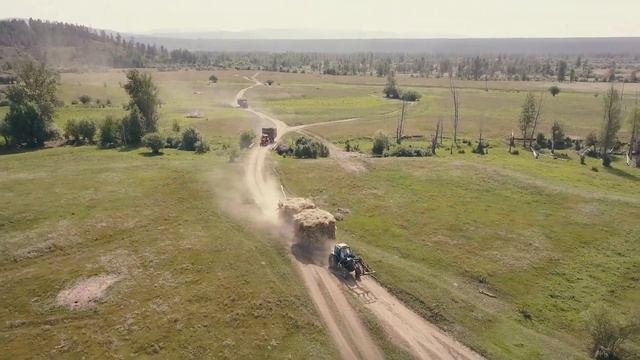 Арзгун