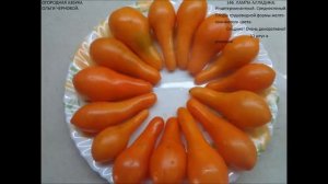 ТОМАТЫ, ПРОВЕРЕННЫЕ ГОДАМИ.Ольга Чернова.