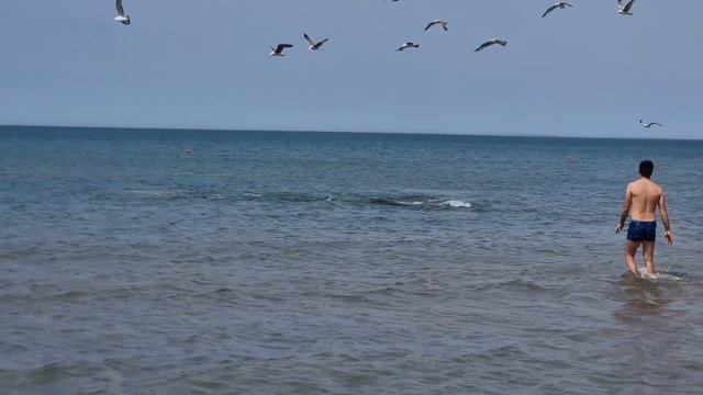 АНАПА - БУДЬТЕ ОСТОРОЖНЫ - ПРЕКРАСНОЕ ШОУ ДЕЛЬФИНОВ смотреть онлайн