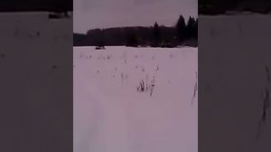 Мотобуксировщик Рекс LA500 по снегу