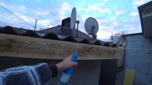 Как убрать плесень с доски СВОИМИ РУКАМИ