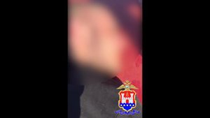 Закладчика с крупной партией запрещённых веществ задержали полицейские в Калининграде