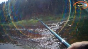 РЫБАЛКА НА ПОПЛАВОК. ЛОВЛЯ ХАРИУСА НА БЫСТРИНЕ