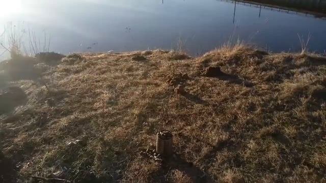 Велоприключение, лапник под палатку