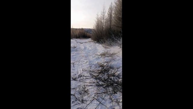 Быт охотника. Семейный охотничий промысел