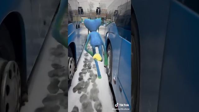 ХАГИВАГИ БЕЖИТ ЗА КОТИКОМ #tiktok #shorts