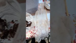 Как правильно запустить культуру червь Гриндаль! Без запаха! Питательный корм для гриндаль! Новинка