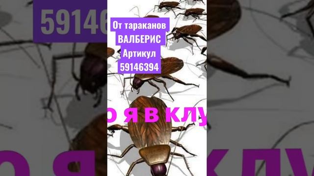 Средство от тараканов муравьев насекомых ВАЛБЕРИС эффективное средство убиваем тараканов вместе куп