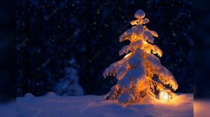Russian New Year-Song: В лесу родилась ёлочка... (There was a Fir-Tree born in woods...)