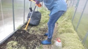 Борьба с мокрицей. Срочно нужно сажать томаты. Часть 1.