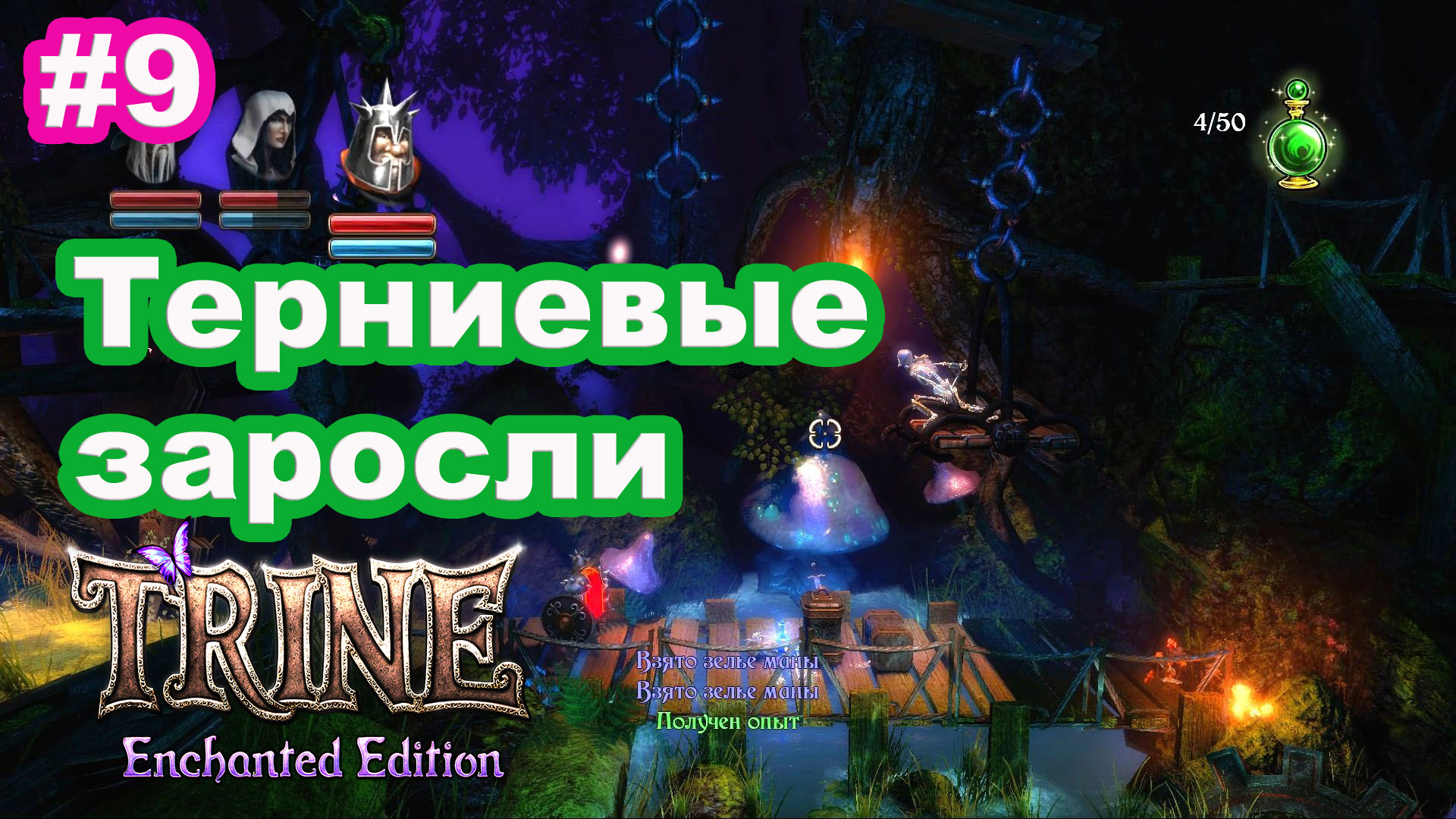 9 - Trine. Терниевые заросли. Shadowthorn Thicket