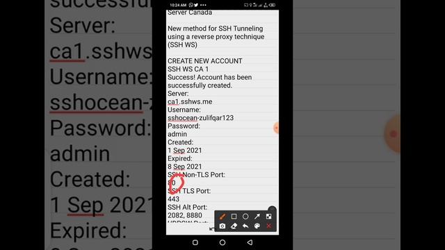 Open Tunnel Create File High Speed Zong | Zong Internet Open Tunnel 2022 смотреть онлайн