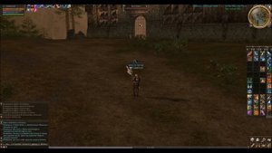 Фарм фортов(теория): для чего как и зачем? (Lineage 2, Asterios x7)