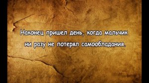 Поучительная история (Темпераментный мальчик)