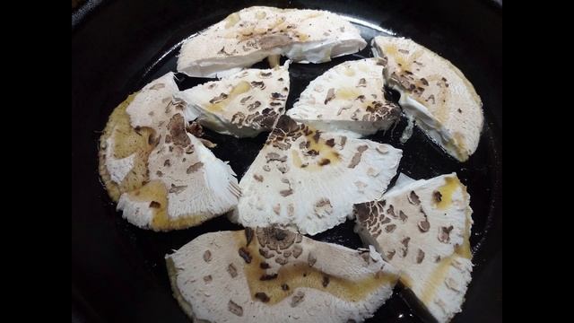 Macrolepiota procera. Del monte a la plancha смотреть онлайн