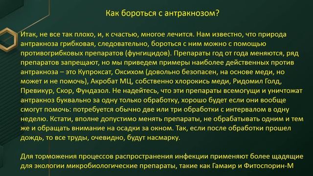 Антракноз.ЛЕЧЕНИЕ И ПРОФИЛАКТИКА БОЛЕЗНЕЙ ВИНОГРАДА