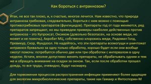 Антракноз.ЛЕЧЕНИЕ И ПРОФИЛАКТИКА БОЛЕЗНЕЙ ВИНОГРАДА