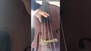 Thomastik Dominant Medium bass strings