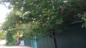 ОБЗОР ГОРОД ИЗОБИЛЬНЫЙ ИЗОБИЛЬНЕНСКИЙ РАЙОНИ СТАВРОПОЛЬСКИЙ КРАЙ