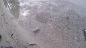 Суровые Уральские Будни #10 - Утро на Тургояке. Вороны. Раки.