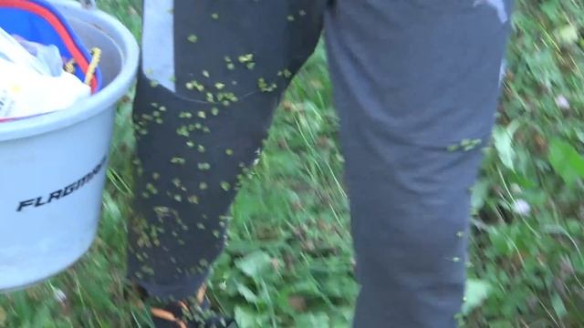 Видно как берёт крючок... Рыбалка на ПОПЛАВОЧНУЮ УДОЧКУ с подводной съёмкой смотреть онлайн