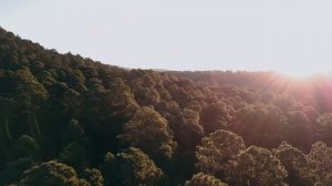 Музыка для утренней медитации 10 минут