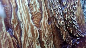 Резьба по дереву орел.