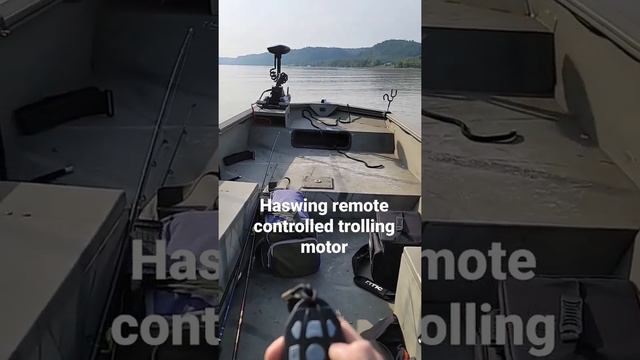 Haswing remote controlled trolling motor from Amazon