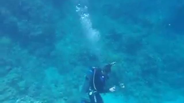 SnorkelingSharm.avi смотреть онлайн