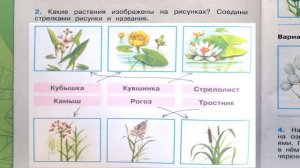 Окружающий мир. Рабочая тетрадь 4 класс 1 часть. ГДЗ стр. 74 №2