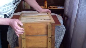 Вариант улья УДАВ