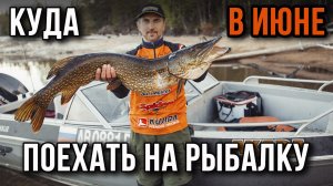 Куда в июне поехать на рыбалку в ЛО.