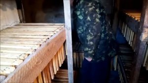 Как хранить суш от моли. Проверяю состояние рамок в сотохранилище