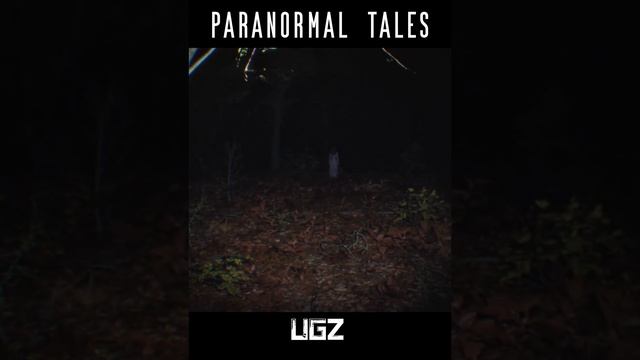 Paranormal Tales | Inspired by P.T. #shorts