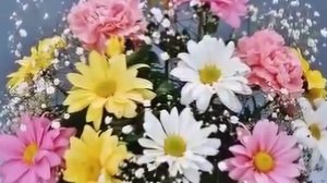 С ДНЕМ РОЖДЕНИЯ, И Я, И Я, И Я ПОЗДРАВЛЯЮ ТЕБЯ