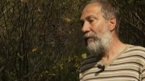 Черемуха с вишней не скрещиваются