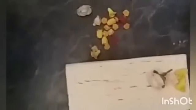 Декорирование коробочки в технике Стимпанк. смотреть онлайн