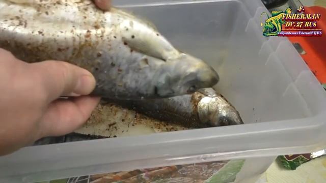 ЗАБЫТЫЙ РЕЦЕПТ, пряной малосольной селёдки из СССР по ГОСТу 1084, букет №6