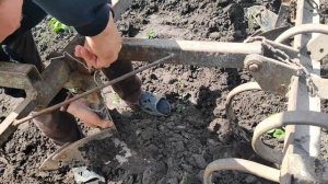 Т-40 окучивание картофеля + настройка культиватора междурядной обработки