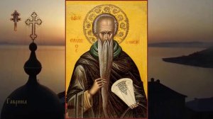 Преподобный Евфимий Великий (473)