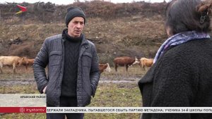 Фермерам Ирафского района помогают развиваться