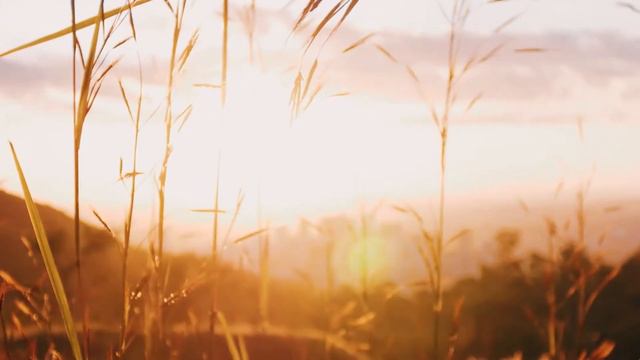 Relaxing Music Piano & Violin | Sleep, Study, Work, Relaxation Instrumental 1 Hour смотреть онлайн