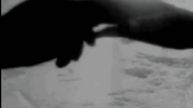 Очень красиво и душевно поет - Вокзалы, дожди по перрону смотреть онлайн