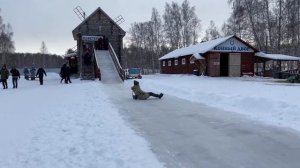 Питомник Хаски и Самоедов. Катание на СОБАКАХ. Шоу в Кузнеце. Самый большой Хаски-центр «АКВИЛОН»