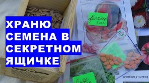 В этом секретном ящичке храним  семена овощных и цветочных растений