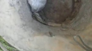 Краткий обзор подводного арбалета SEAC SAB 55