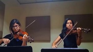 Saint-Saens - The Swan (Violin Duet)