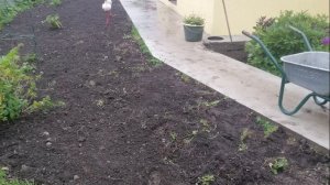 Заливка отмостки и дорожек