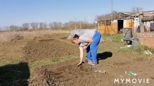 ДЕЛА ОГОРОДНЫЕ//ПОСАДИЛИ ЗЕЛЕНЬ//СПАСИБО ЗА СОВЕТЫ//ПОДГОТОВКА ТЕПЛИЦЫ//КУПИЛИ ДОМ В ДЕРЕВНЕ