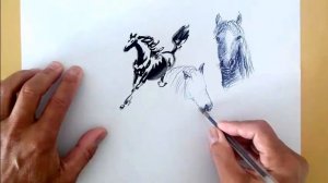 Картинки лошади - drawing horse